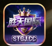 胜天国际