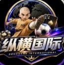 纵横国际